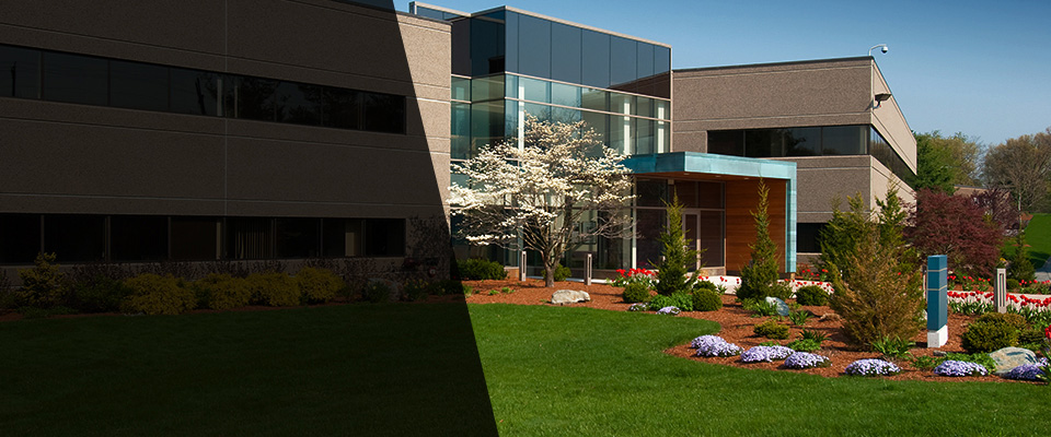 Sayville Landscapers